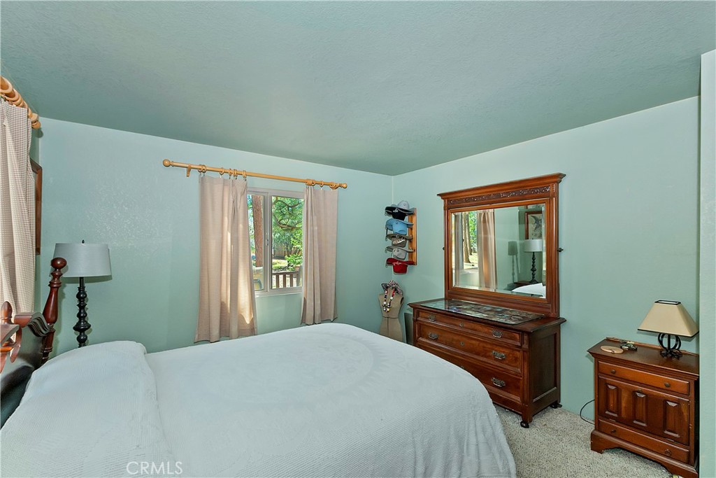 850 Alpenweg Drive Property Photo 16