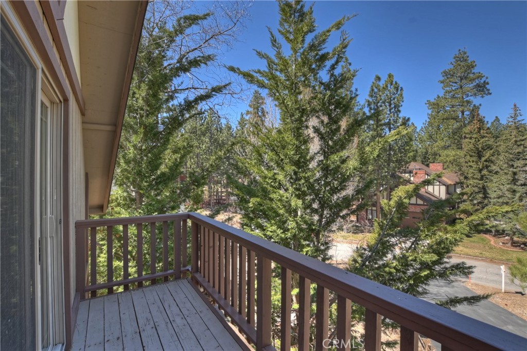 850 Alpenweg Drive Property Photo 22