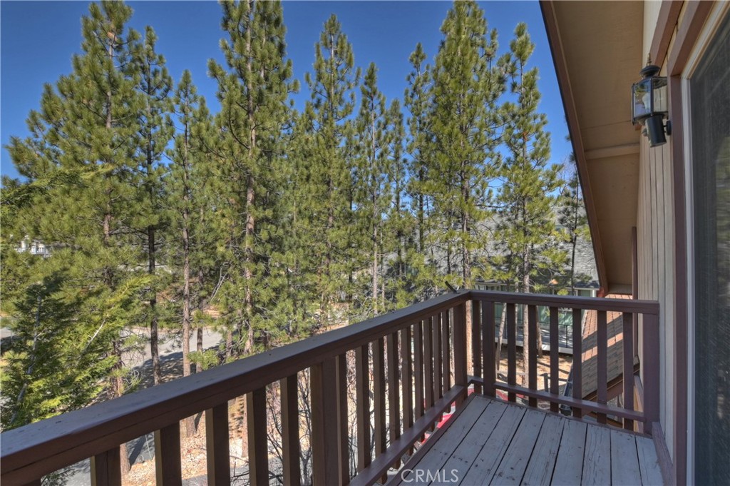 850 Alpenweg Drive Property Photo 23