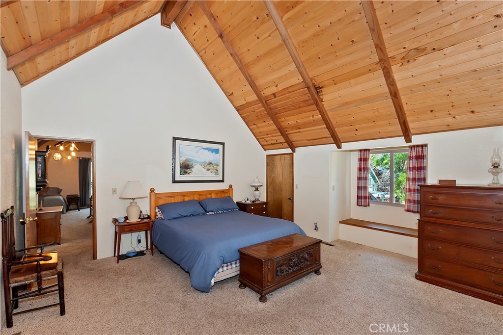 850 Alpenweg Drive Property Photo 26