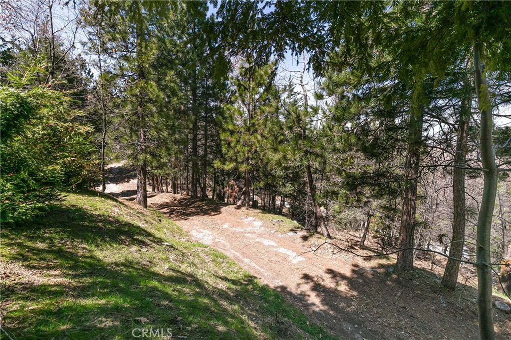 1251 Kodiak Drive Property Photo 36