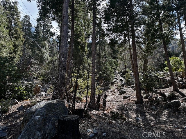 0 Fir Property Photo 3