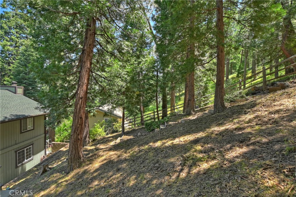 1208 Jungfrau Drive Property Photo 9