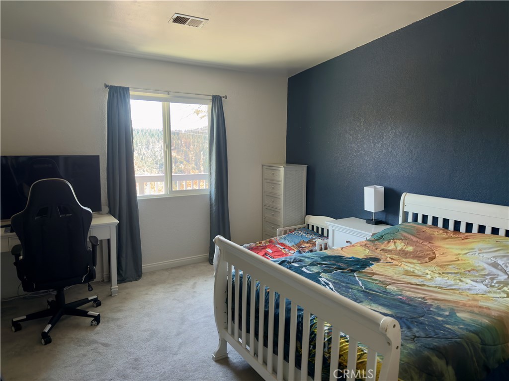 31930 Pine Cone Drive Property Photo 11