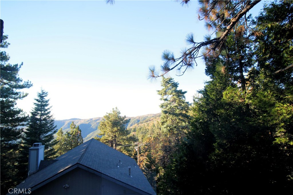 30904 Live Oak Drive Property Photo 2