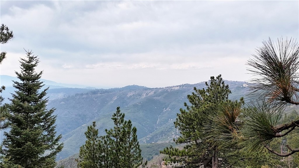 30904 Live Oak Drive Property Photo 3