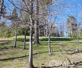 42 Park Drive Property Photo 2