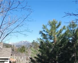 42 Park Drive Property Photo 5