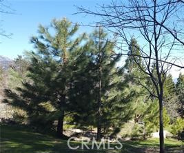 42 Park Drive Property Photo 6