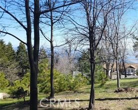 42 Park Drive Property Photo 7