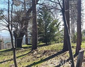 42 Park Drive Property Photo 8
