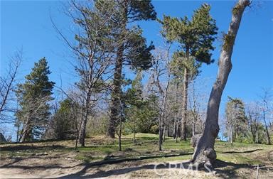 42 Park Drive Property Photo 10