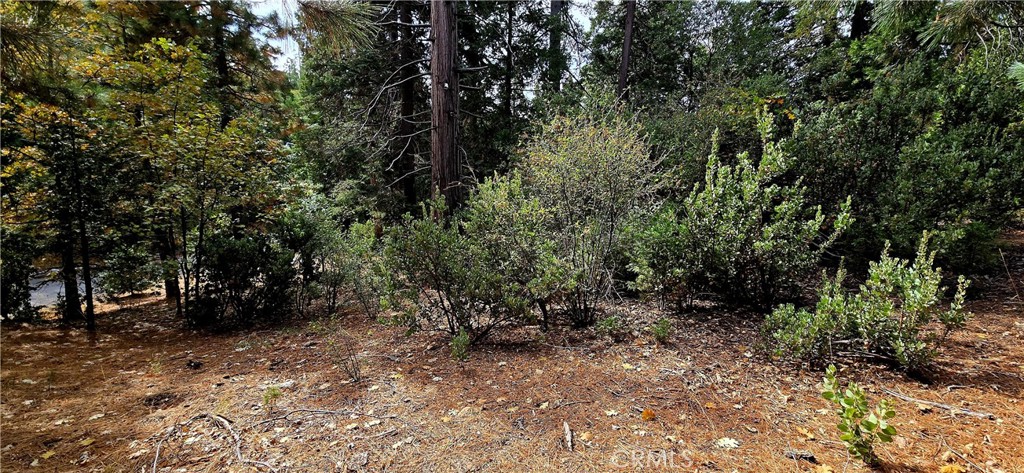 308 Pioneer Road Property Photo 1