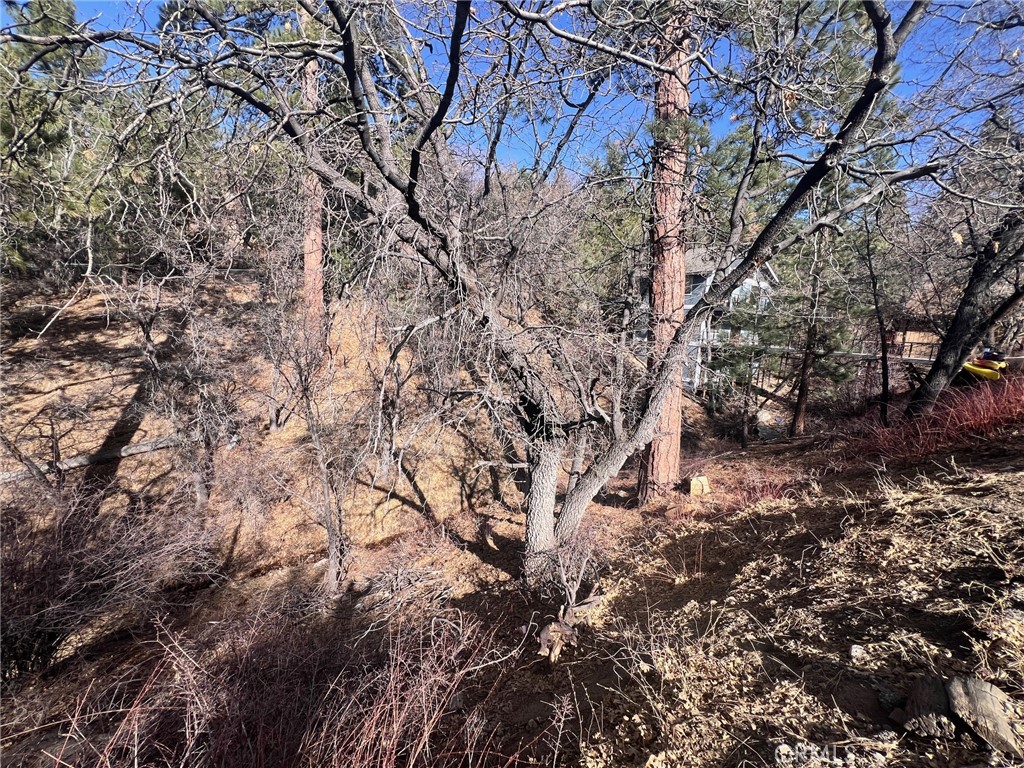 1230 S Minton Avenue Property Photo 2