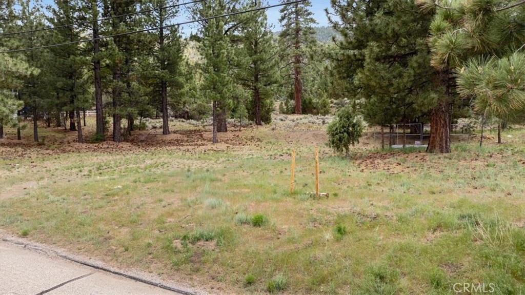 46861 Skyview Drive Property Photo 9