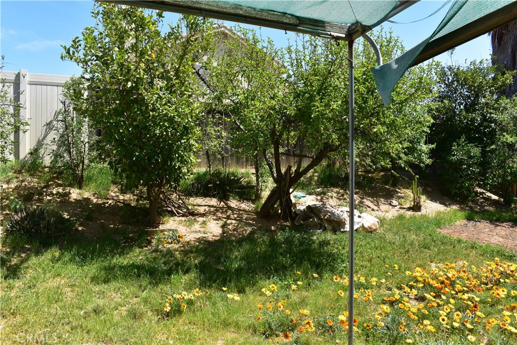 1044 Willmont Way Property Photo 24