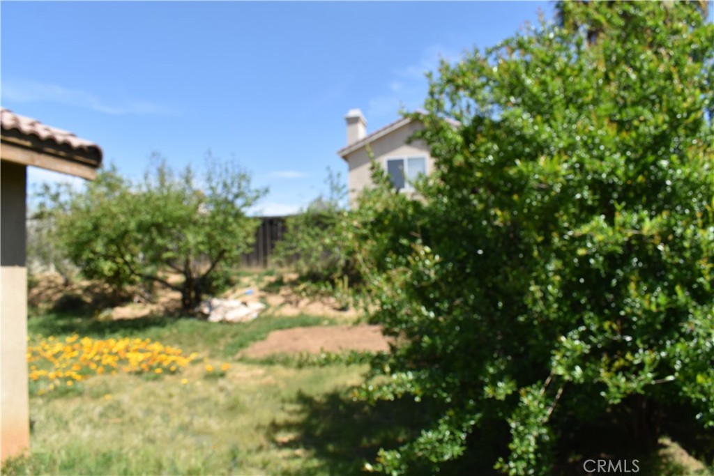1044 Willmont Way Property Photo 27