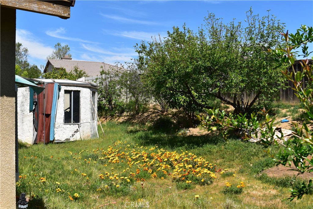 1044 Willmont Way Property Photo 28