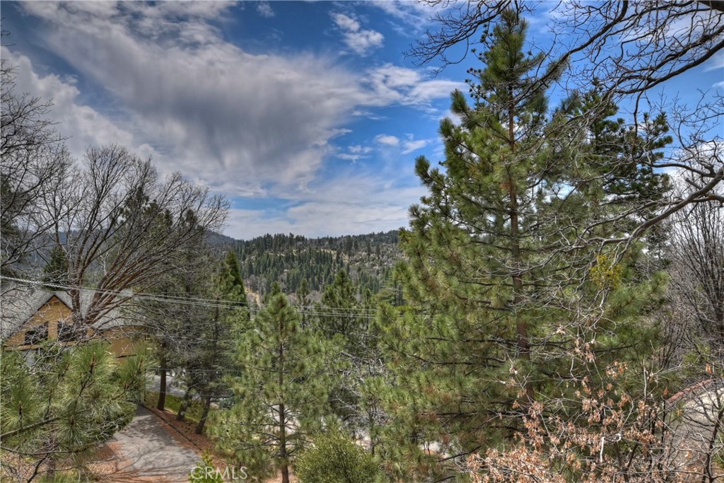 1010 Black Oaks Drive Property Photo 60