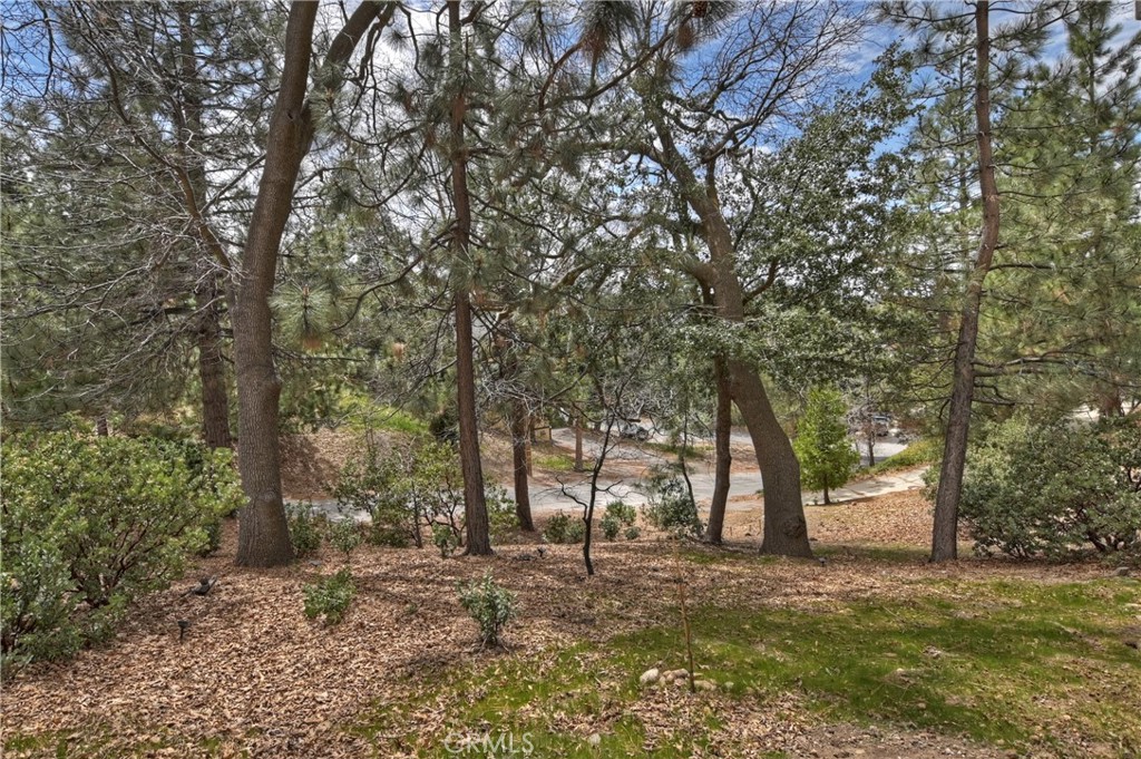 1010 Black Oaks Drive Property Photo 61