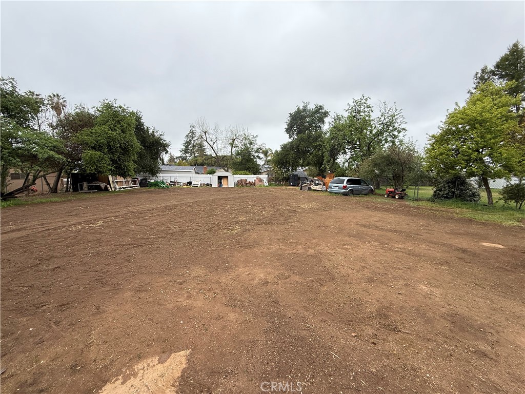 11896 Addison Street Property Photo 5