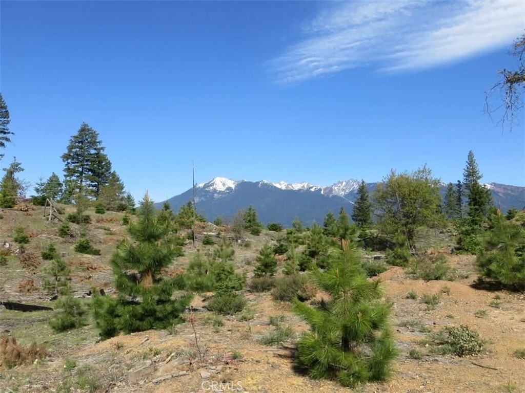 0 Bowerman Ridge Dr Property Photo