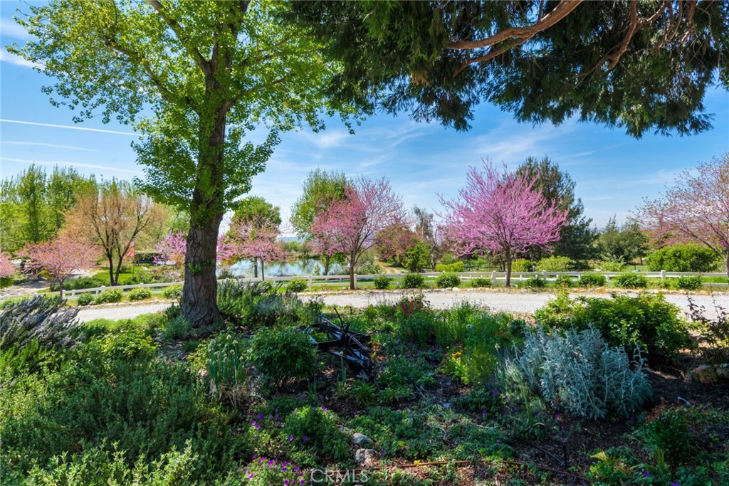 37547 Oak Glen Road Property Photo 12