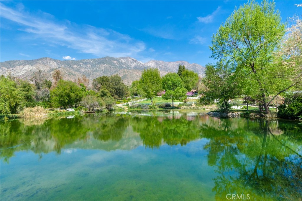 37547 Oak Glen Road Property Photo 17