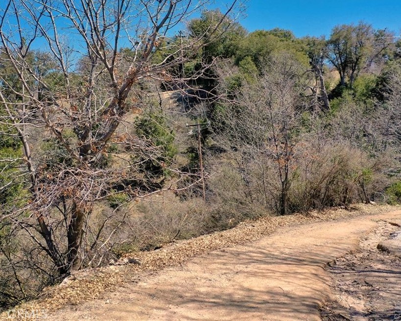 Cedar Glen Real Estate Listings Main Image