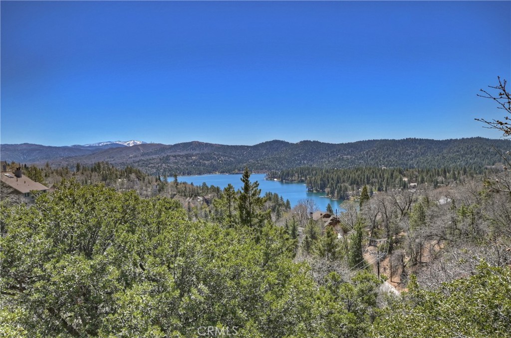 1161 Nadelhorn Drive Property Photo 30