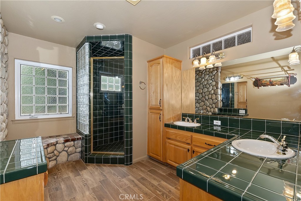 1161 Nadelhorn Drive Property Photo 40