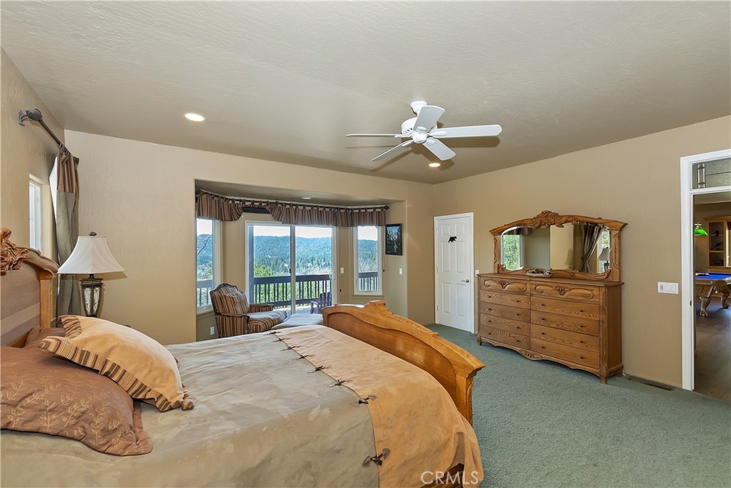 1161 Nadelhorn Drive Property Photo 41