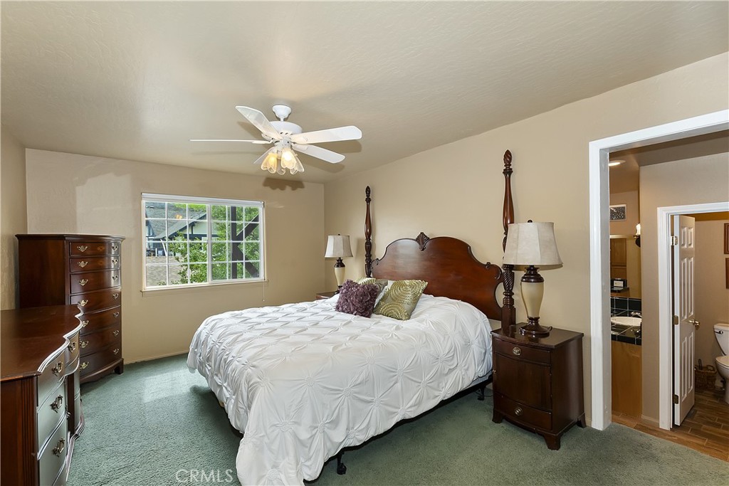 1161 Nadelhorn Drive Property Photo 51
