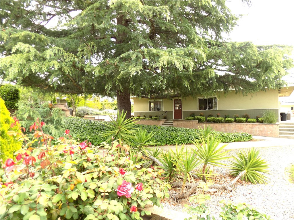 11639 Lennox Street Property Photo 24