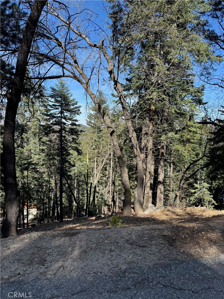 26537 Spyglass Drive Property Photo