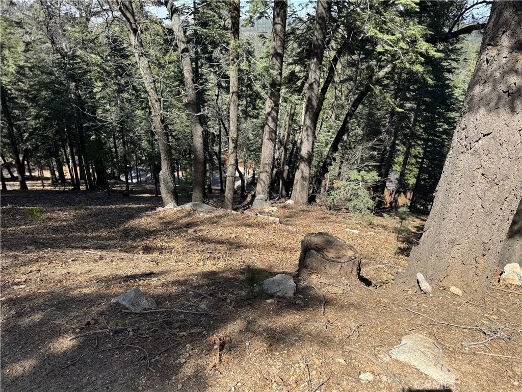 26537 Spyglass Drive Property Photo 11