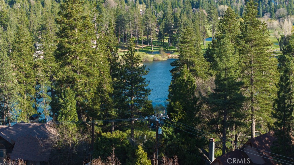 26715 Modoc Lane Property Photo 4