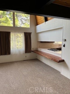 480 Hunt Lane Property Photo 11