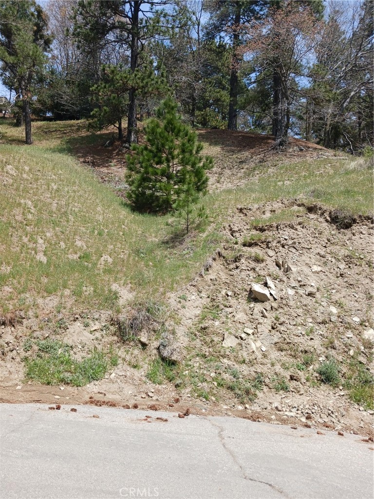21858 Fern Canyon Road Property Photo 2