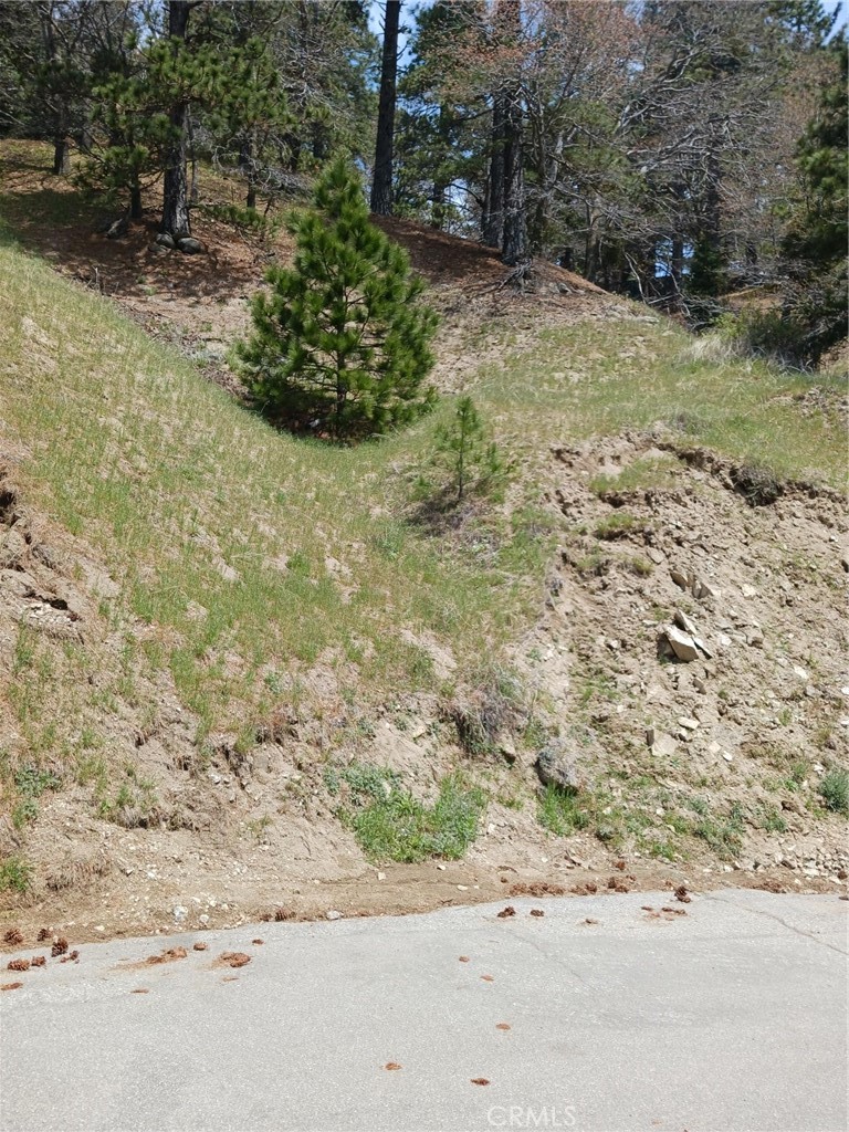 21858 Fern Canyon Road Property Photo 3