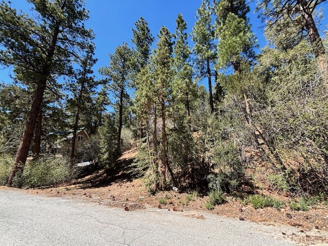 0 E Rainbow Boulevard Property Photo 4
