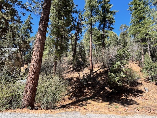 0 E Rainbow Boulevard Property Photo 5