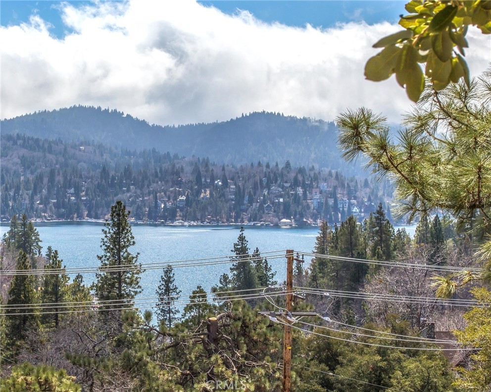 0 Zion Drive Property Photo 1