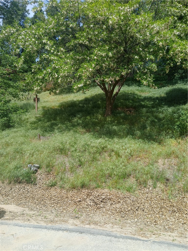 0 Davos Property Photo 2