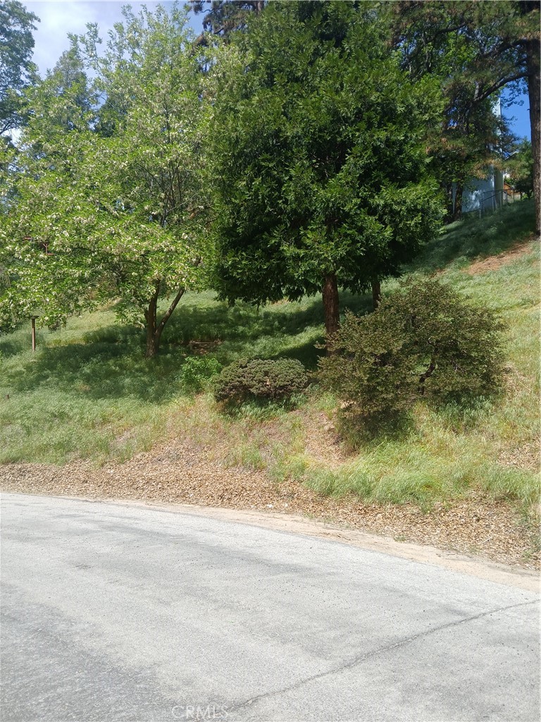 0 Davos Property Photo 3