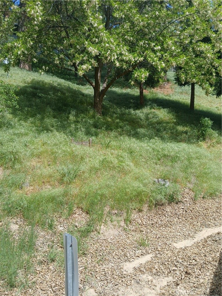 0 Davos Property Photo 5