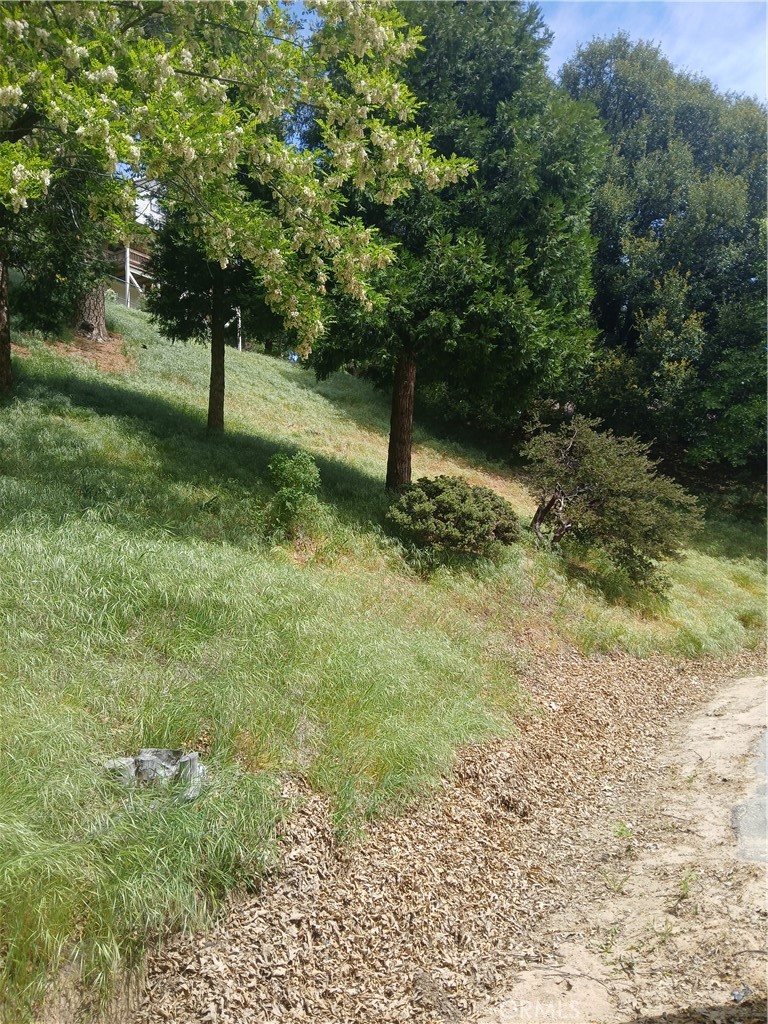 0 Davos Property Photo 6