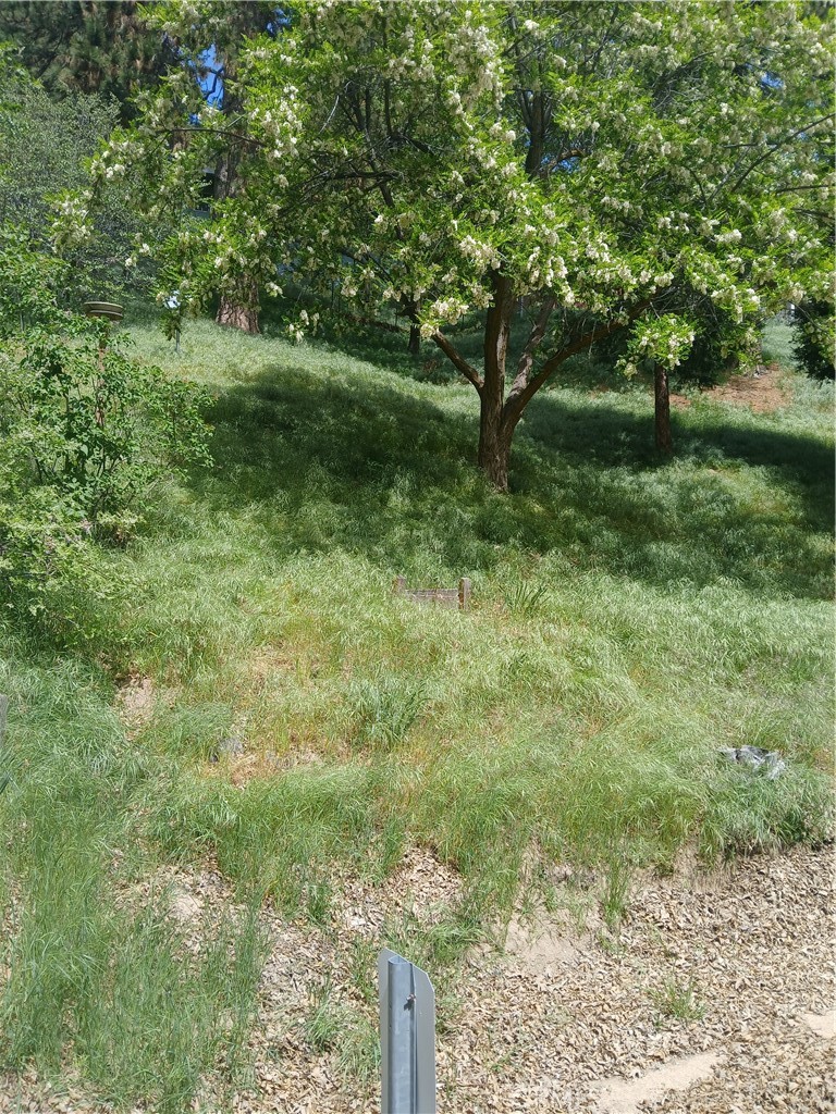 0 Davos Property Photo 7