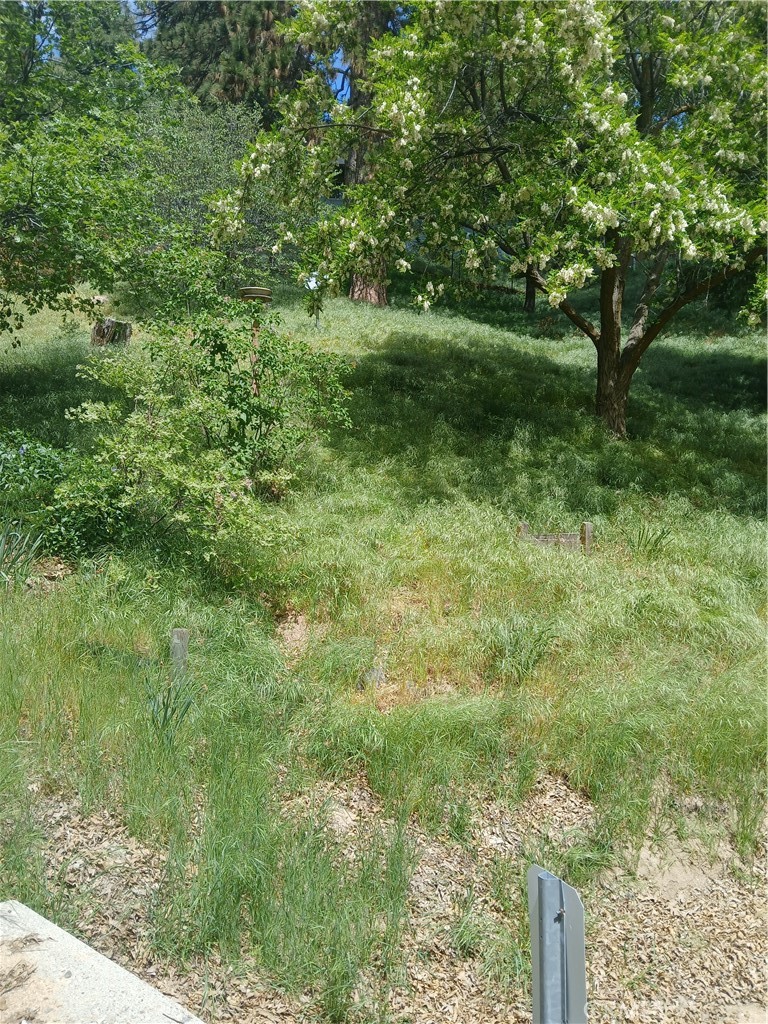 0 Davos Property Photo 8