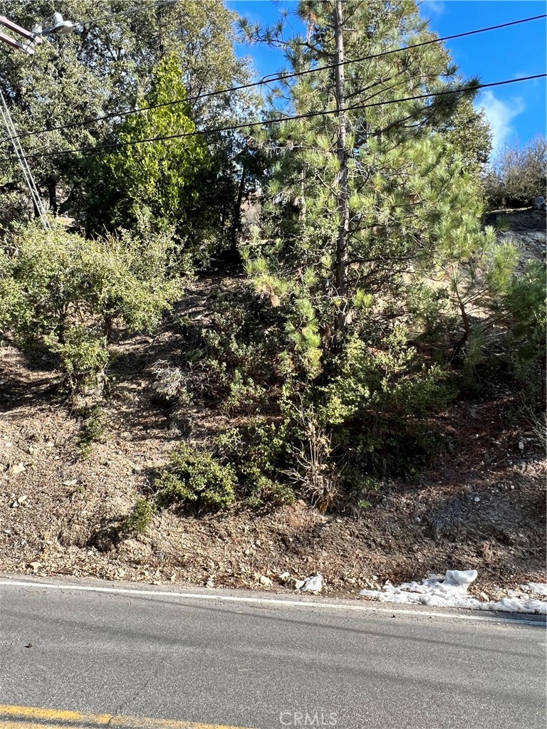 0 Brentwood Drive Property Photo 6